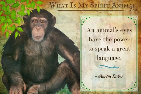 Organic Spaceship, Monkey Quotes, What Is My Spirit Animal, Monkey Aesthetic, Monkey Cute, Martin Buber, Singing Quotes, Motivational Funny, Funny Poems