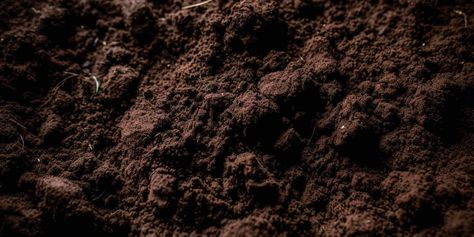 How to Make Loam Soil Loam Soil, Retaining Water, Black Soil, Concrete Paving, Foundation Repair, Clay Soil, Dry Leaf, Annual Flowers, Organic Matter