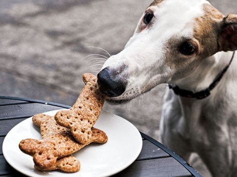 Ruby's bones (dog biscuits) Dog Treat Cookie Recipe, Bacon Dog Treats, Bacon Dog, Dog Biscuit Recipes, Dog Bones, Dog Biscuits, Serious Eats, Dog Items, Pet Hacks