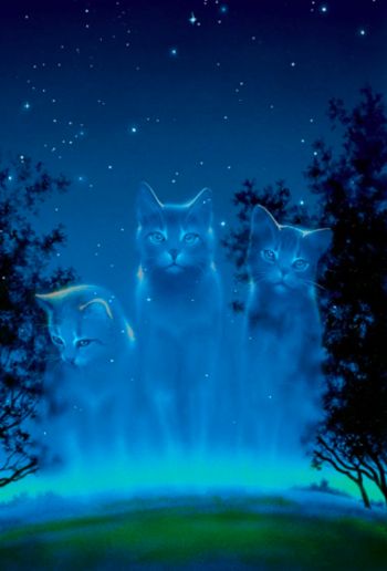 Describing Characters, Warriors Illustration, Cat Anatomy, Tv Tropes, Minor Character, World Images, Fairytale Art, Warrior Cat, Warrior Cats