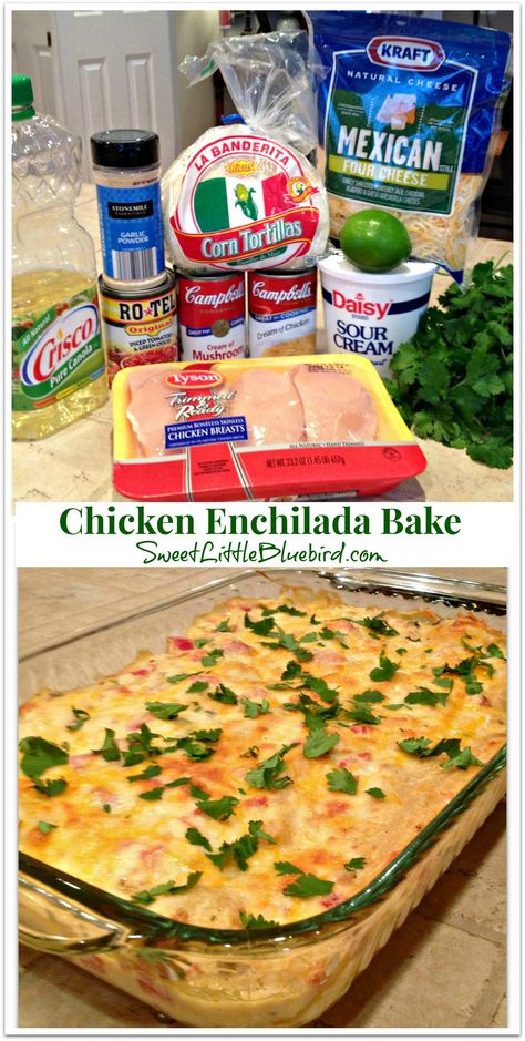 Chicken Enchilada Bake - so delicious, loaded with flavor!  When my 16 year old said, "This tastes like it came from a restaurant!" I knew it was good! | SweetLittleBluebird.com Chicken Enchilada Bake, Enchilada Bake, Dinner Keto, Smothered Chicken, Chicken Enchilada, I Knew It, Chicken Enchiladas, Homemade Food, Mexican Dishes