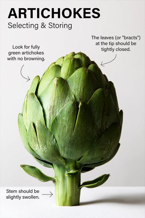 Cook Artichoke, Artichokes Recipes, Roasted Artichoke Hearts, Artichoke Heart Recipes, Veggie Wash, Seasonal Produce Guide, White Wine Recipes, Baked Artichoke, Grilled Artichoke