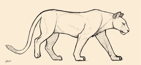 Lion Walk Cycle, Walking Drawing, Lion Walking, Walk Cycle, Simple Character, Make A Character, Small Step, Drawing Simple, Sacred Places