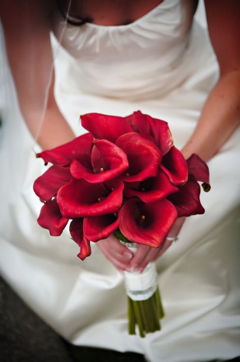 18 of the Most Beautiful Calla Lily Bouquets Ever Calla Lily Bouquet Wedding, Calla Lily Wedding, Red Wedding Theme, Calla Lily Bouquet, Red Bouquet Wedding, Red Wedding Flowers, Red Bouquet, Lily Bouquet, Prom Flowers