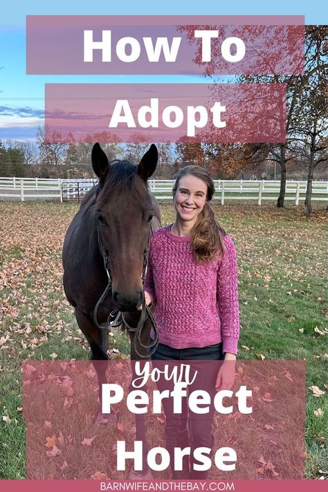 woman and adopted horse. text reads "how to adopt your perfect horse" Horses Tips, Horse Ownership, Horse Care Tips, Horse Rescue, Horse Training Tips, Horse Tips, Horse Training, Horse Care, A Horse