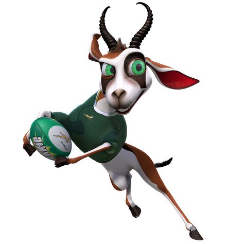 Bokke Springbok Rugby Party, Rugby Party Ideas, Rugby Cupcakes, Springboks Rugby South Africa, Rugby Jokes, Rugby Jersey Design, Rugby Images, Rugby Wallpaper, Rugby Party