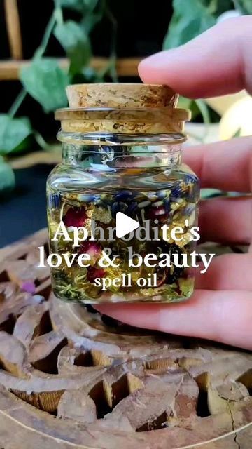 Raven 🌿✨ | Witchcraft Coach on Instagram: "Aphrodite's love and beauty spell oil! 💕✨  #spellwork #babywitch #witchcraft" Love Spell Oil Recipe, Beauty Oil Witchcraft, Aphrodite Oil Recipe, Love Oil Recipe Witchcraft, Aphrodite Magic, Spell Oil Recipe, Aphrodite Oil, Beauty Spell, Camphor Oil