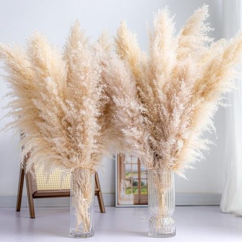 Amazon.com: Tall Pampas Grass 30PCS Boho Decor Natural Home Decor Phragmites Dried Flowers Bouquet for Wedding Floral Arrangements Home Decorations (30PCS Tall pampas grass) : Home & Kitchen Wedding Floral Arrangements Spring, Old Florida Wedding, Flower Website, Salon Remodel, Boho Formal, Boho Wedding Arch, Wedding Decorating Ideas, Bouquet For Wedding, Elegant Bed