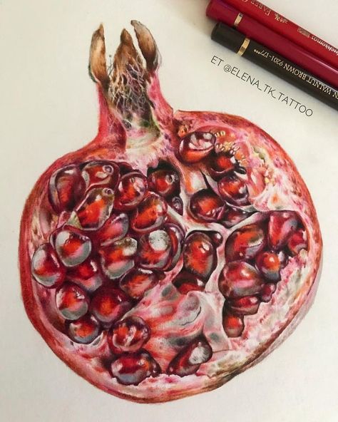 Pomegranate Drawing, Fruit Art Drawings, Pomegranate Art, Natural Form Art, Prismacolor Art, Fruits Drawing, Gcse Art Sketchbook, Colored Pencil Artwork, Colour Pencil