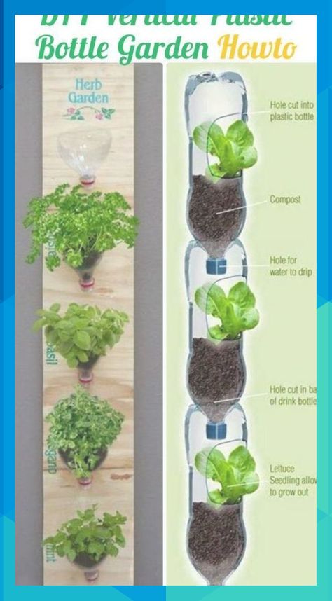 Plastic Bottle Garden, Kebun Herbal, Tanaman Pot, Diy Plastic Bottle, نباتات منزلية, Vertical Herb Garden, Vertical Garden Diy, Group Project, Bottle Garden