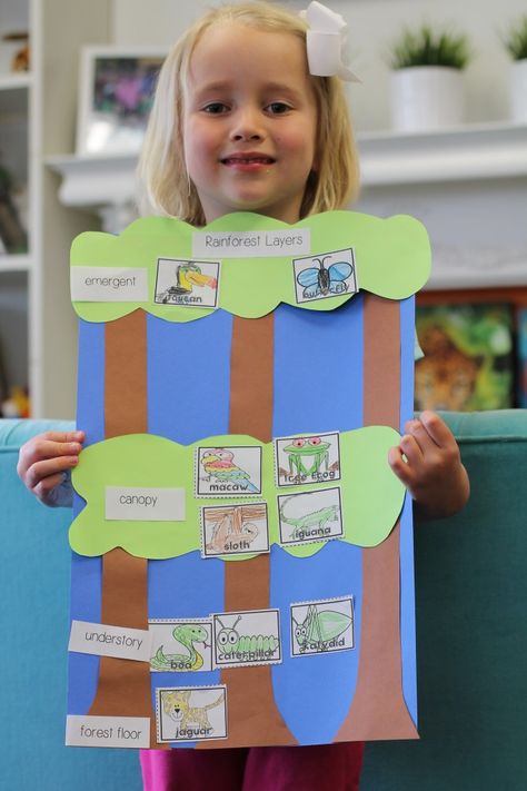 Academic Art: Layers of the Rainforest Rainforest Unit Kindergarten, Rainforest Layers Printable, Rainforest Layers Project, Rainforest Crafts Preschool Jungle Theme, Layers Of The Rainforest Free Printable, Layers Of Rainforest, Rainforest Activities For Kids, Rainforest Lesson Plans, Rainforest Bulletin Board