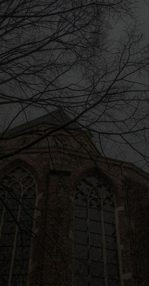 Academia Inspiration, Atmospheric Photo, Dark Naturalism, Dark Forest Aesthetic, Dark Art Photography, Dark Landscape, Slytherin Aesthetic, Dark Sky, Dark Academia Aesthetic