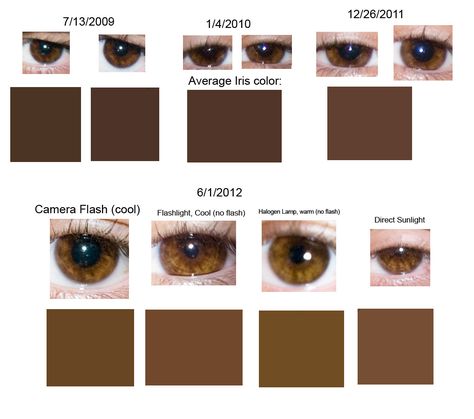 Shades Of Brown Eyes, Eye Color Chart, Eye Chart, Brown Eye, Hex Codes, Hex Color Codes, Dark Brown Eyes, Colour Code, Bluish Green