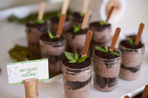 Nature theme party Themed Graduation Party, Dirt Dessert, Enchanted Forest Birthday, Forest Birthday Party, Nature Party, Fairy Garden Birthday Party, Graduation Party High, Forest Birthday, Graduation Party Planning