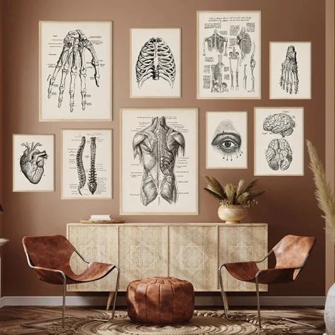 Just found this amazing item on AliExpress. Check it out! 0,90€ 60％ Off | Vintage Human Anatomy Artwork Medical Wall Picture Muscle Skeleton Poster Canvas Art Print Education Hospital Pharmacy Paintings Muscle Skeleton, Anatomy Artwork, Skeleton Poster, Hospital Pharmacy, Human Canvas, Furniture Material, Nordic Poster, Wall Pictures, Wall Art Canvas Painting