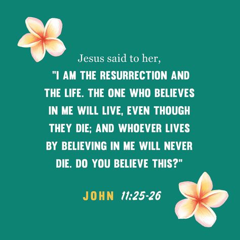 He is the resurrection and the life! #resurrection #life The Resurrection, Bible Scripture, Bible Scriptures, Cool Words, Bible, Jesus, Quotes, On Instagram, Instagram