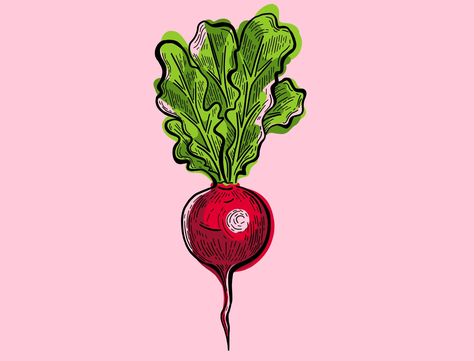 Radish Tattoo, Radish Drawing, Radish Design, Radish Illustration, Radish Art, Food Work, Vegetable Drawing, Vegetable Illustration, Food Illustration Art