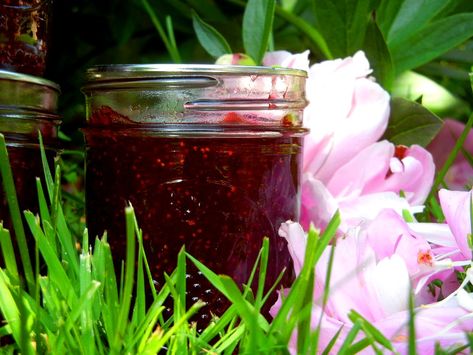 Strawberry Peony Jam recipe ( made with real Peonies, and yes they're edible flowers) Peony Syrup, Peony Jam, Backyard Planting, Flower Recipes, Baby Rabbits, Canned Fruits, Jam Recipes Homemade, Strawberry Jelly, Canned Vegetables