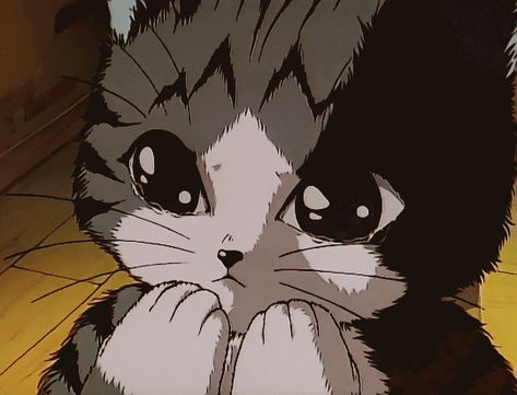 Cat Crying, Animated Banners, Arte 8 Bits, Cat Anime, Purple Cat, Arte Inspo, Anime Cat, 90s Anime, Cute Animal Drawings