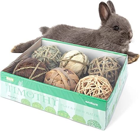 Chinchilla Toys, Chinchilla Pet, Pet Ball, Pet Guinea Pigs, Small Animal Supplies, Animal Activities, Gerbil, Animal Habitats, Rabbit Toys