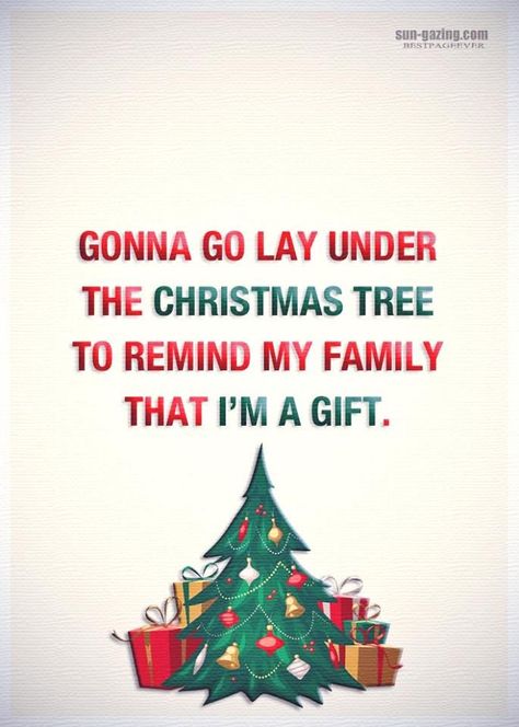 Gonna Go Lay Under The Christmas Tree To Remind My Family That I'm A Gift Pictures, Photos, and Images for Facebook, Tumblr, Pinterest, and Twitter Family Quotes Humor, Funny Christmas Images, Christmas Tree Quotes, Family Christmas Quotes, Funny Christmas Tree, Tree Quotes, Quotes Christmas, Family Quotes Funny, Space Pattern