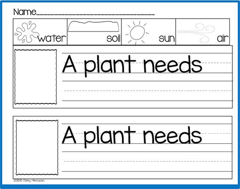 "A Plant Needs....." (free; from Sharing Kindergarten via Freebielicious) Plants Kindergarten, Plants Unit, Spring Kindergarten, 1st Grade Science, First Grade Science, Plant Life Cycle, Kindergarten Fun, Plant Science, Kindergarten Science