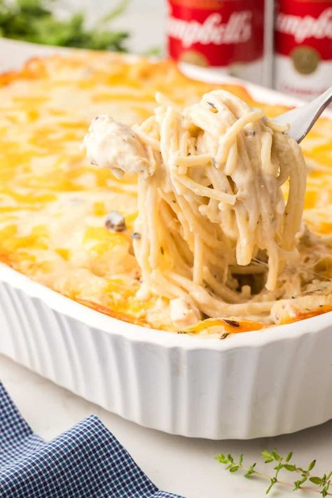 Easy Chicken Tetrazzini Recipe (With Cream of Mushroom Soup) | She's Not Cookin' Havarti Cheese Chicken Recipes, Cheesy Chicken Tetrazzini, Creamy Chicken Tetrazzini, Easy Chicken Tetrazzini Recipe, Chicken Tetrazzini Casserole, Chicken Scampi Recipe, Creamy Cheesy Pasta, Recipes Using Cream Cheese, Easy Chicken Tetrazzini