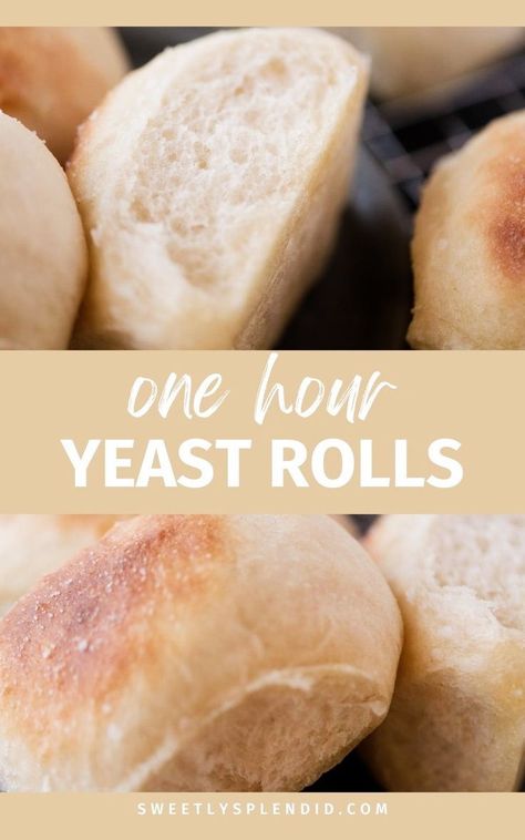 Impress your guests with Homemade Yeast Rolls in under 60 minutes! Our quick and easy recipe, featuring active dry yeast, delivers old-fashioned, sweet dinner rolls – a simple yet essential addition to your Thanksgiving table. Old Fashioned Yeast Rolls Recipe, Sweet Yeast Rolls Recipe, Buttery Dinner Rolls, Easy Yeast Rolls, Homemade Yeast Rolls, Homemade Yeast, Yeast Rolls Recipe, Sweet Dinner Rolls, Yeast Recipes