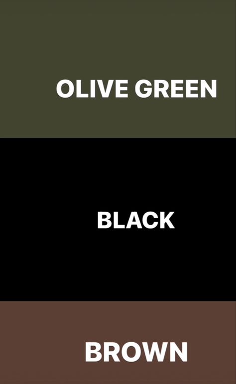 Color Combo With Olive Green, Olive Black Brown Colour Palette, Brown And Black Color Scheme, Black Color Combos Outfits, Olive Green Clothes Aesthetic, Black And Brown Outfit Hijab, Color Palette Mens Fashion, Matching Colours Color Balance, Olive Green Matching Colors