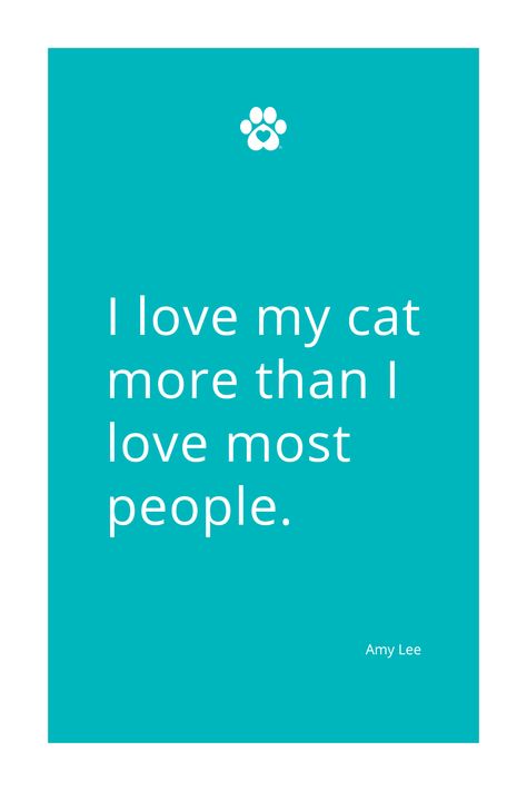 I love my cat more than I love most people. Pet Parent Quote by Amy Lee | Pet Lover, Cat Lover, Quotes about Cats, Cat Mom, Pet Parenting, Cat Parent, Cats, Quotes, Pet Quotes, Quotes about Pets Quotes About Pets, Cat Lover Quotes, Quotes About Cats, Save Me Quotes, Animal Lover Quotes, Cat Lover Quote, Cats Quotes, Pet Quotes, Cat Mama