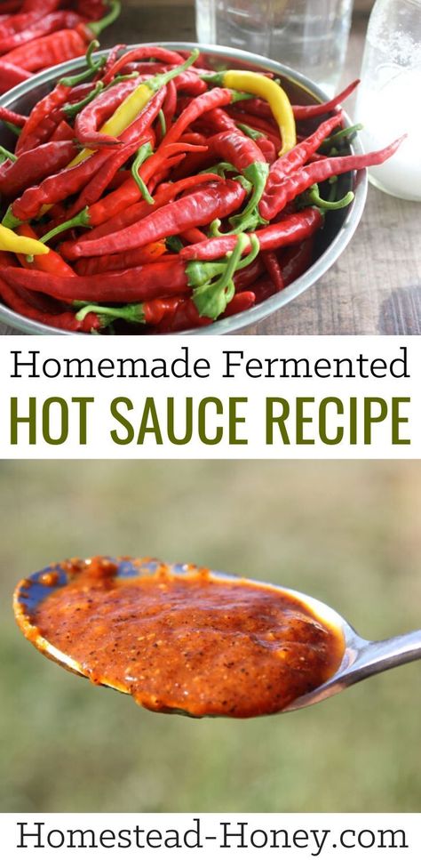 Capture the taste of summer with this homemade lactofermented hot sauce recipe. Made with only two ingredients - hot peppers and salt - this fermented recipe is so easy to make and is better than anything you will taste in the store! #fermentedfood #fermentation #hotsauce #ferment Homemade Hot Sauce Recipe, Fermented Hot Sauce Recipe, Fermented Hot Sauce, Hot Sauce Recipe, Lacto Fermented, Preserving Recipes, Homemade Hot Sauce, Homestead Kitchen, Roasted Jalapeno