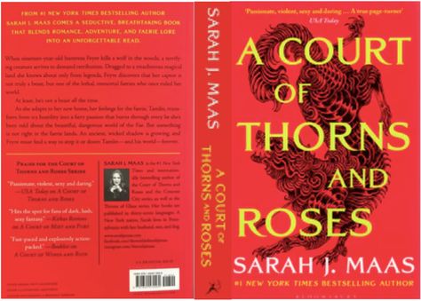 A Court Of Thorns And Roses Mini Book Cover, A Court Of Thorns And Roses Cover, Acotar Mini Book Cover, Mini Book Covers Printable Acotar, Booktok Book Covers, A Court Of Thorns And Roses Book Cover, Full Book Cover Printable, Full Book Covers, Acotar Cover