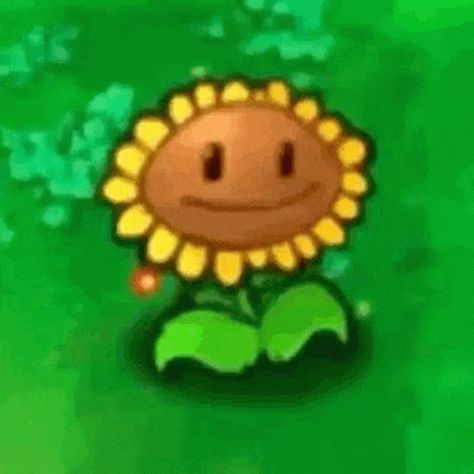 Plant Vs Zombies Sunflower, Sunflower Plants Vs Zombies, Pvz Wallpaper, Zombie Vs Plants, Zombie Gif, Plant Vs Zombies, Plantas Versus Zombies, Zombie Gifts, Zombie Tattoos