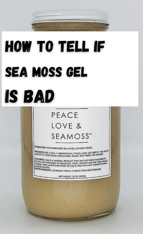 Know how long Sea Moss Gel lasts, how to tell if it is bad, and how to store sea now gel to make it last longer. How To Eat Sea Moss Gel, How To Take Sea Moss Gel, Sea Moss Gel Recipes, Sea Moss Recipes, Herb Tinctures, Sea Moss Gel, Homemade Body Butter, Edible Wild Plants, Kangen Water