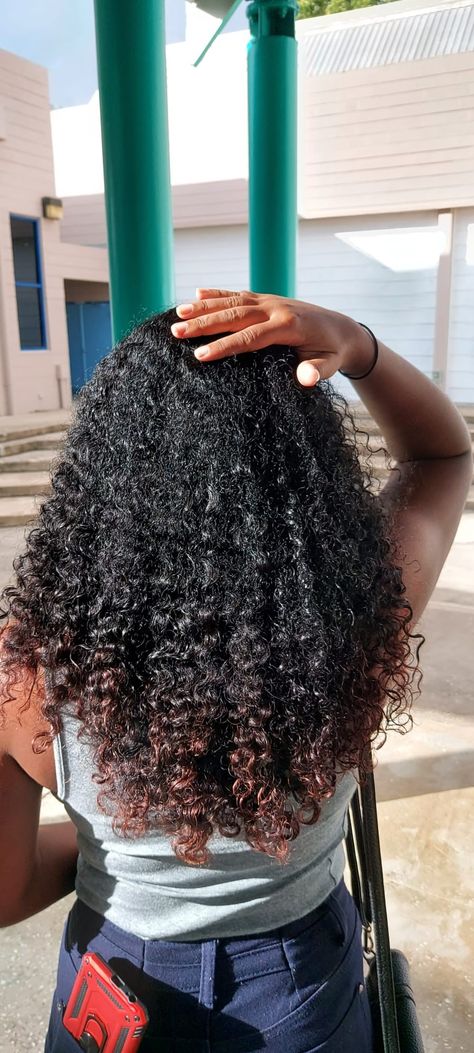 Hair colour: Black with brown ends. Style: Combed out curls. Brown Ends On Black Hair, 4a Hair, 3c Hair, Type 4 Hair, Boring Hair, 4c Hair, 4c Hairstyles, Color Inspo, Black Natural Hairstyles