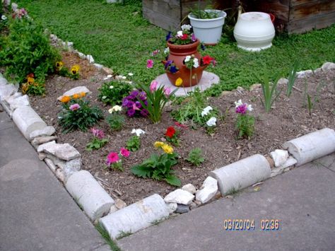 Plant Growing From Concrete, Flowers In Concrete, Cement Cylinder Ideas, Concrete Cylinders Ideas, Cement Planters For Lights, Flower Growing In Concrete, Portland Cement Diy, Shade Tolerant Grass, Mums Garden