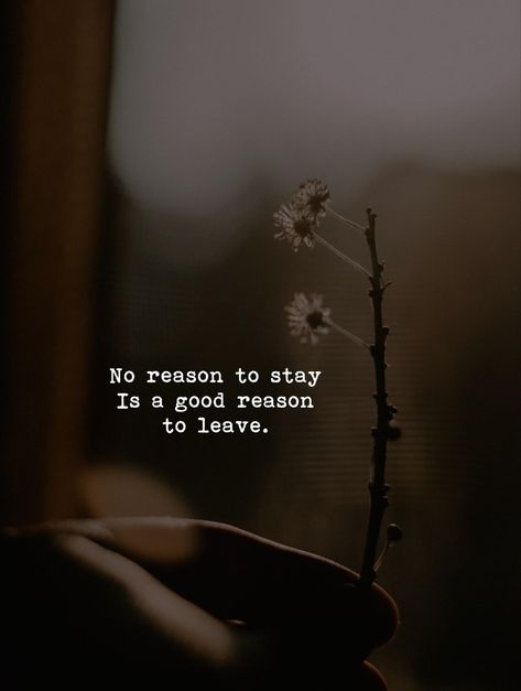 Better To Leave Quotes, No Reason To Stay Is A Good Reason To Go, Stay Or Leave Quotes, Missing You Love Quotes, Stay Quotes, Good Heart Quotes, Leaving Quotes, Best Thoughts, Inspirational Words Of Wisdom