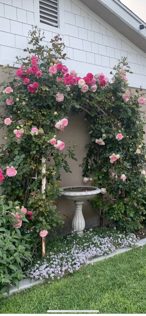 Front Garden Decor, Fairytale Front Yard, Rose Bushes Front Of House, Hoa Backyard Ideas, Side Yard Rose Garden, Flowers In Front Of House, European Front Yard, Garden Asthetic Picture, Rose Flower Bed