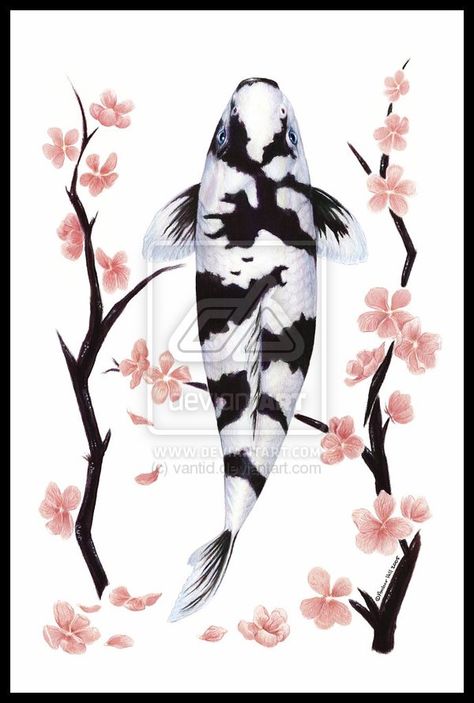 Koi and cherry blossoms Utsuri Koi, Carp Tattoo, Koi Painting, Koi Fish Drawing, Aqua Watercolor, Koi Fish Designs, Cherry Blossom Painting, Koi Art, Koi Fish Tattoo