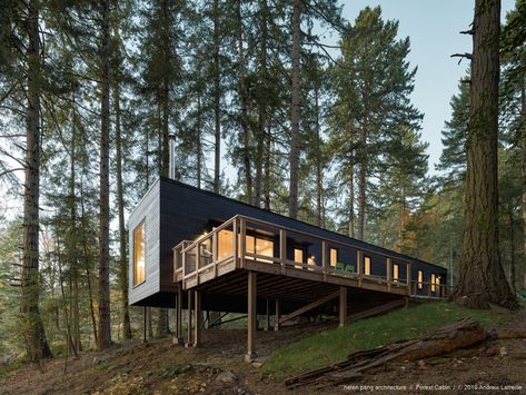 Salt Spring Island Bc, Bungalow Resorts, Ing Civil, Natural Forest, Dwell Magazine, Salt Spring Island, Forest Cabin, Genius Loci, Connect With Nature