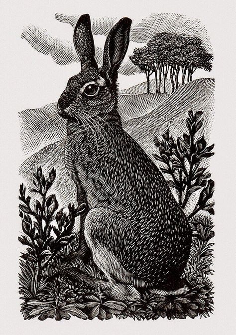 Hare Illustration, Hare Art, Craft Printables, Scratchboard Art, Linear Art, Linocut Printmaking, Swipe File, Linocut Art, Living Art