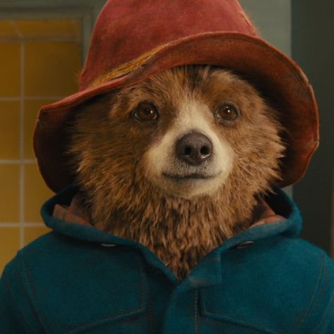 Paddington Film, Family Friendly Movies, Choose Your Fighter, Romper Room, Rhinestone Cowboy, His Dark Materials, Paddington Bear, Cultural Differences, Kids' Movies