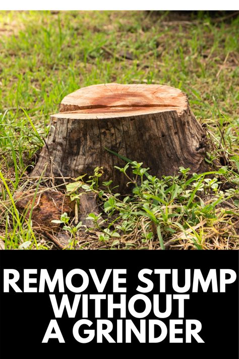 If you have an unsightly tree stump in your yard, you may be wondering how to get rid of it. A grinder is the easiest way, but can be expensive AND dangerous. Here, we provide a guide on how to remove a tree stump WITHOUT a grinder! Read more at OwnTheYard.com! Tree Stump Grinder, Tree Root Removal, Kill Tree Stump, Stump Out, Removing Tree Stumps, Tree Stumps Diy, Stump Grinder, Stump Removal, Wood Stumps