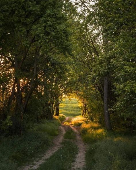 Pretty Landscapes, Dirt Road, Spring Aesthetic, Alam Yang Indah, Nature Aesthetic, Pretty Places, Green Aesthetic, Country Life, Farm Life