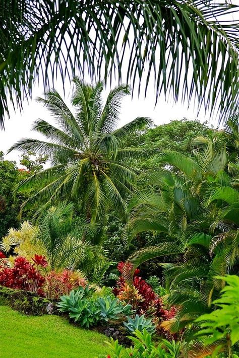 Beautiful Tropical Outdoor Gardens Tropical Backyard Landscaping, Villa Architecture, Hawaiian Gardens, Tropical Landscape Design, Tropical Garden Design, Tropical Backyard, Tropical Landscaping, Green Garden, Tropical Garden