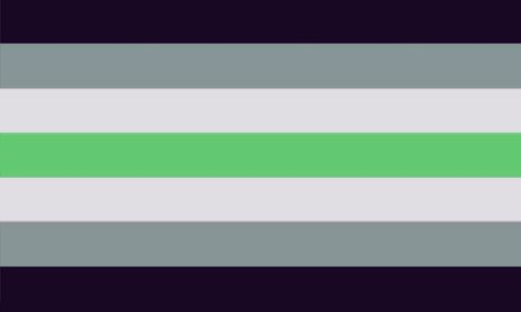 A Gender Flag, Less Saturated Pride Flags, Agender Flag, Lgbt Flags, Collective Identity, Gender Pronouns, Gender Flags, School Murals, Lgbtq Flags