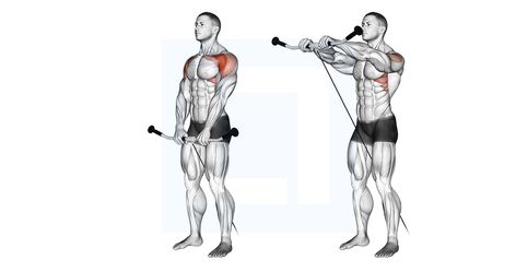 Shoulder Workouts, Deadpool Wallpaper, Front Raises, Lateral Raises, Shoulder Injuries, Shoulder Workout, Muscle Groups, Resistance Band, Muscles