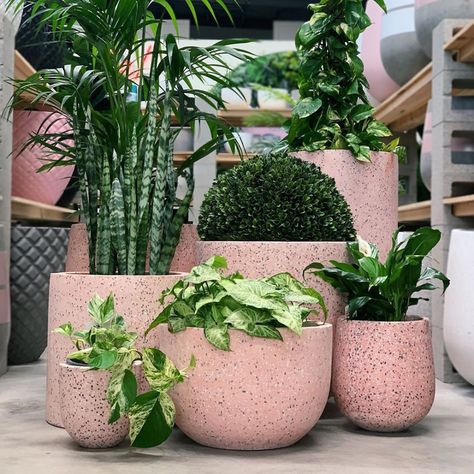 High Quality Cylinder Shape Terrazzo Flower Pots Planters With 4 Different Sizes For Indoor And Outdoor Decoration - Buy Terrazzo Pots,Terrazzo Planter,Cylinder Plant Pot Product on Alibaba.com Diy Planters Pots, Diy Planters Indoor, Mexican Restaurant Design, Terrazzo Planter, Cement Pots Diy, Pink Terrazzo, Pots Garden, Pots For Plants, Flower Pot Garden