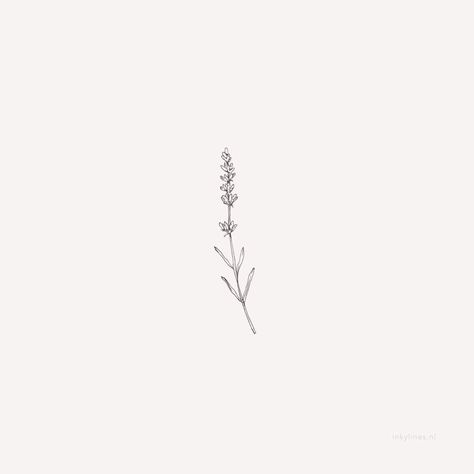 Hase Tattoos, Lavender Illustration, Lilac Tattoo, Tiny Flower Tattoos, Lavender Tattoo, Wildflower Tattoo, Small Flower Tattoos, Dainty Tattoos, Little Tattoos