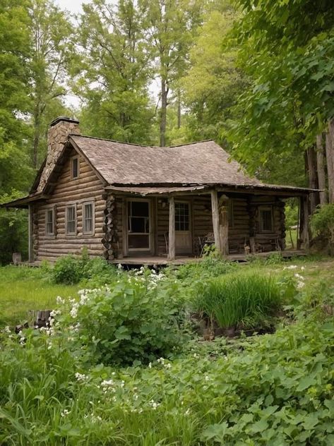 Old Wooden House, Wooden Cabin, Cabin Ideas, Old Fashion, Wooden House, A Family, Old Fashioned, Cabin